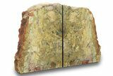 Jasper Replaced Petrified Wood Bookends - Marston Ranch, Oregon #271133-1